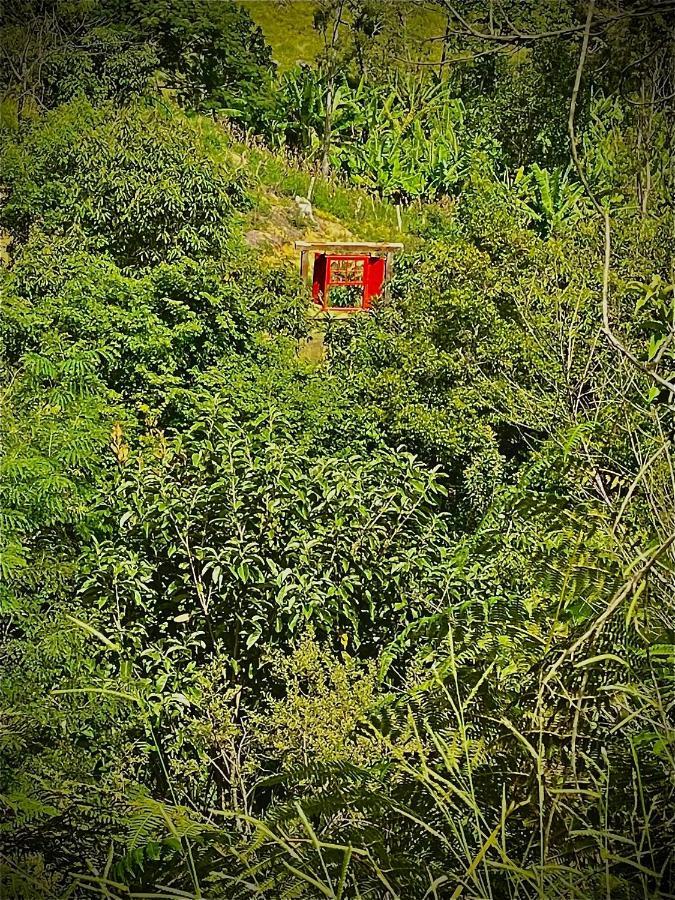 Rancho Do Paioleiro - Suites Сан-Бенту-ду-Сапукаи Экстерьер фото
